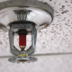 Fire Sprinkler System